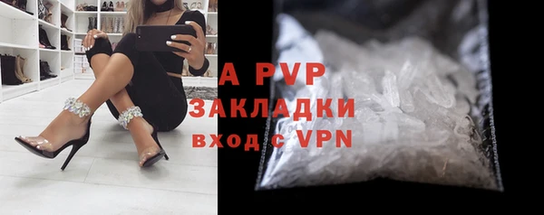 гидра Абаза
