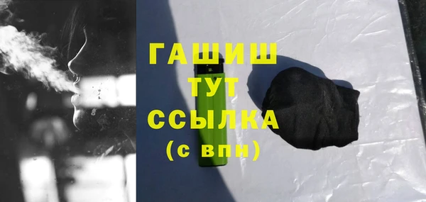 гидра Абаза