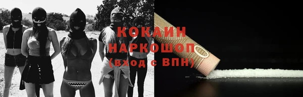 гидра Абаза