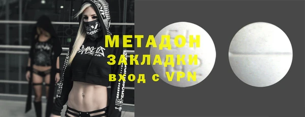 хмурый Пересвет