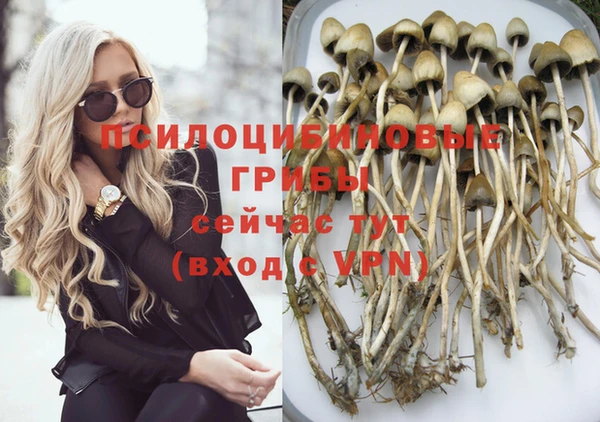 прущие крисы Абинск