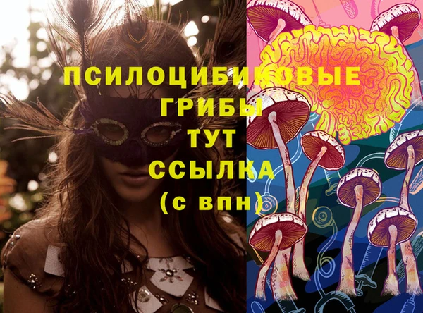 гидра Абаза