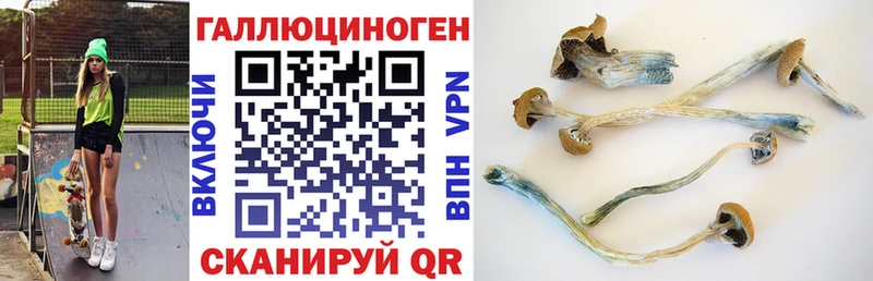 Галлюциногенные грибы GOLDEN TEACHER  купить наркоту  Верхоянск 